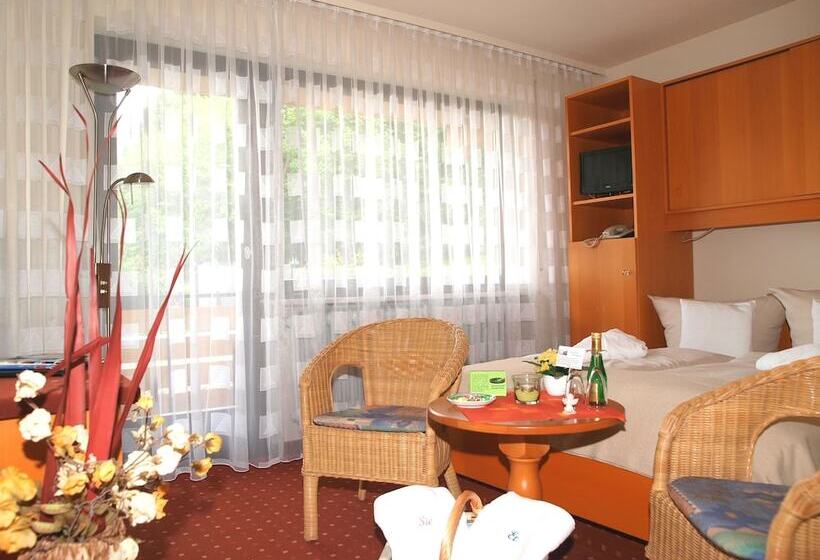 Номер Economy, Ferienhotel Schwarzwälder Hof