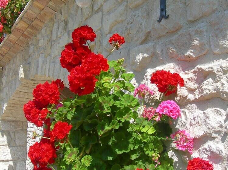 标准三人间, Agriturismo Borgo San Martino