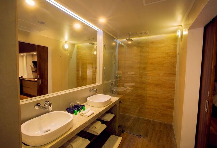 Номер Deluxe Кровать Кинг Вид на Город, Sevana City