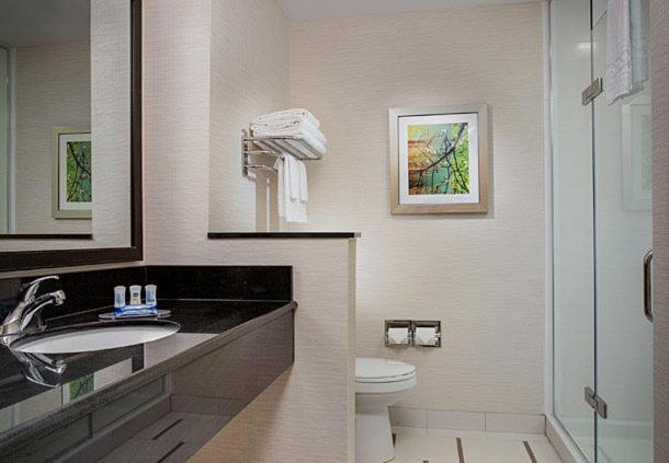 Люкс Кровать Кинг, Fairfield Inn & Suites By Marriott Detroit Troy