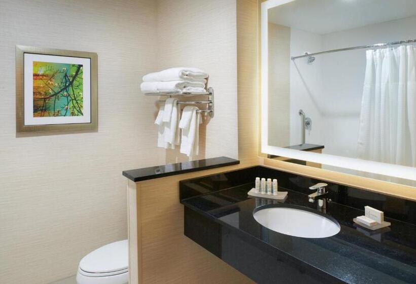 带大床的标准间, Fairfield Inn & Suites By Marriott Detroit Troy