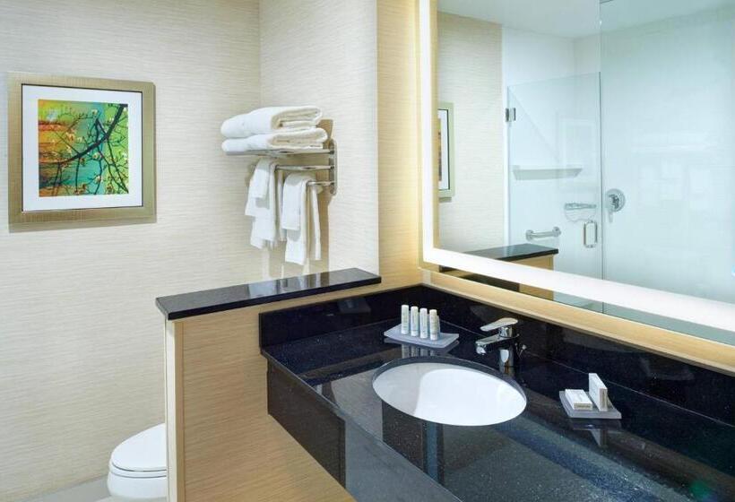 带大床的套房, Fairfield Inn & Suites By Marriott Detroit Troy