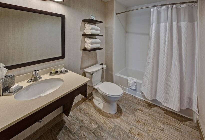 带2个卧室的套房, Black Fox Lodge Pigeon Forge, Tapestry Collection By Hilton