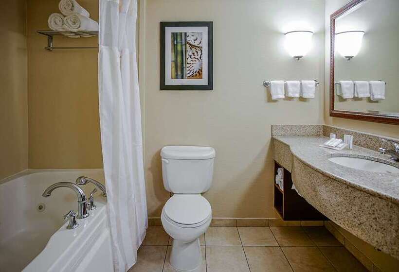 标准间, Black Fox Lodge Pigeon Forge, Tapestry Collection By Hilton