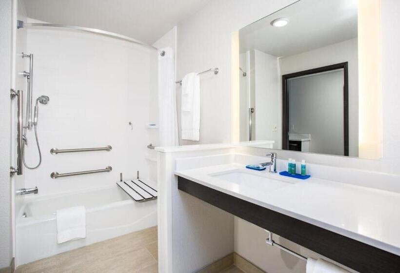 장애인을 위한 킹사이즈 침대 스탠다드 룸, Holiday Inn Express & Suites   Rapid City   Rushmore South, An Ihg