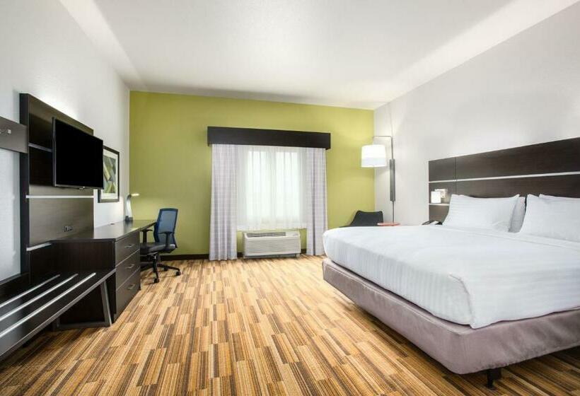 스탠다드 룸 킹사이즈 침대, Holiday Inn Express & Suites   Rapid City   Rushmore South, An Ihg