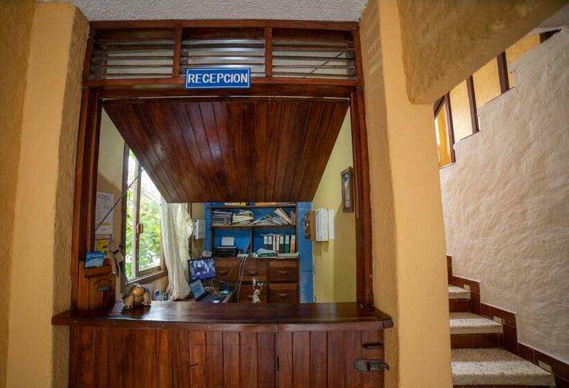 Chambre Standard Vue Mer, Hostal Estrella De Mar