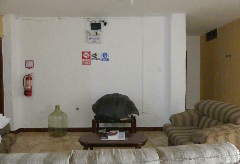 Chambre Triple Standard Vue Mer, Hostal Estrella De Mar