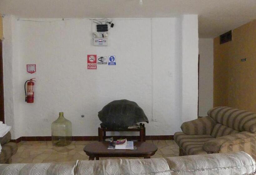 Chambre Triple Confort, Hostal Estrella De Mar