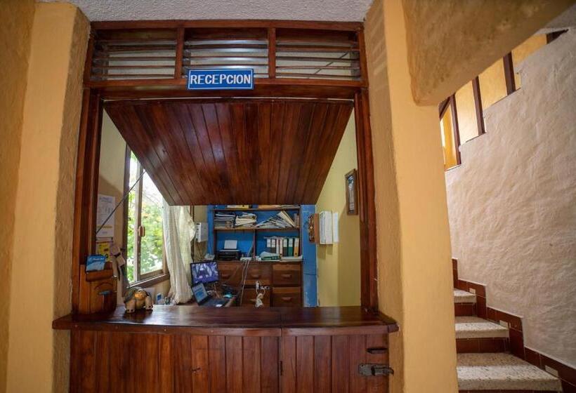 Chambre Deluxe, Hostal Estrella De Mar