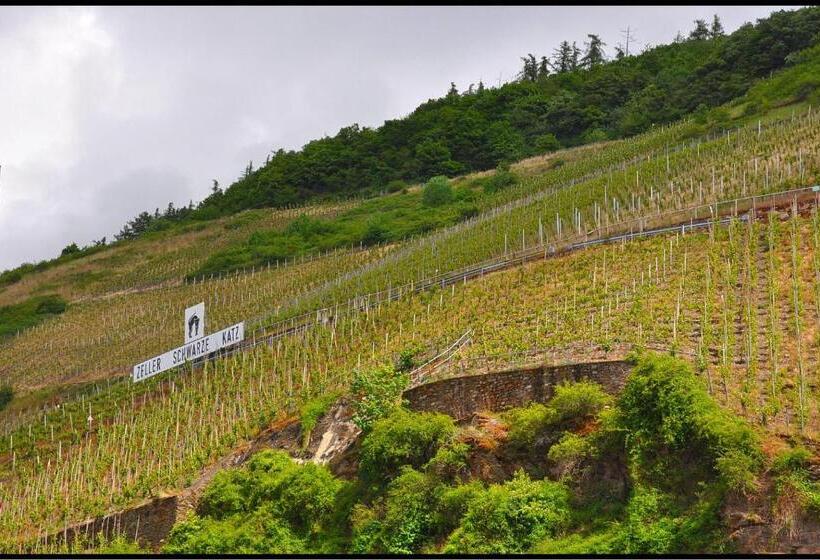 Стандартный Номер Кровать Кинг, Pension Adelheid Moselhype&wine