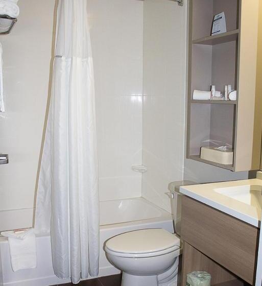 Номер Superior Адаптированный для Инвалидов, Microtel Inn & Suites By Wyndham   Penn Yan