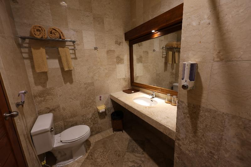 标准单人间, The Regents Guest House