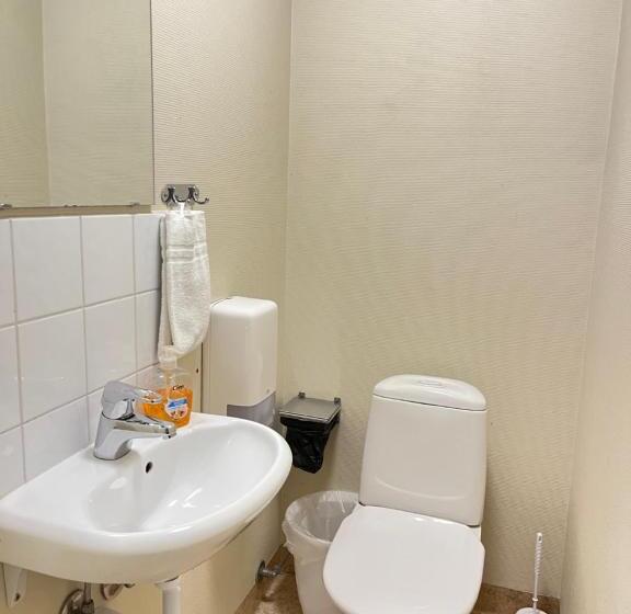 Трехместный Номер Стандарт Совместная Ванная, Carlstad Sport Hostel