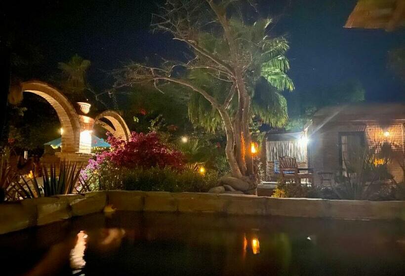 デラックススイート, Casa Xochitl