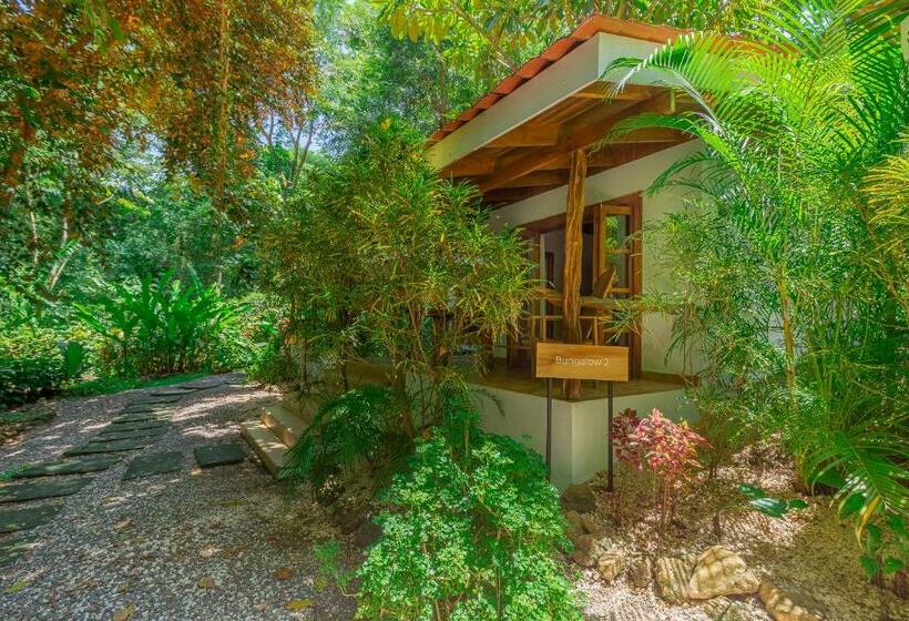 Бунгало Стандарт Вид на Сад, Makanas Beach Bungalows