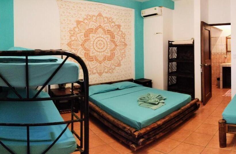 Номер Superior, Cool Vibes Beach Hostel