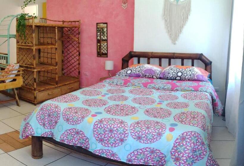 ２ベッドルームアパートメント, Cool Vibes Beach Hostel
