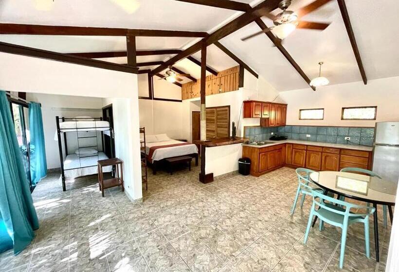 Apartamento 1 Dormitório Vista Piscina, Rio Lindo