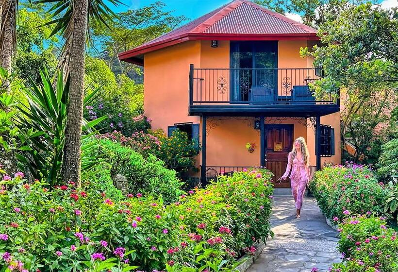 스탠다드 룸 킹사이즈 침대, Boquete Garden Inn