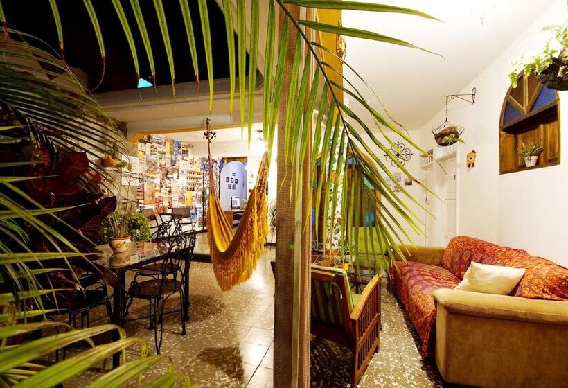 Номер Стандарт, Casa Ruta Sur
