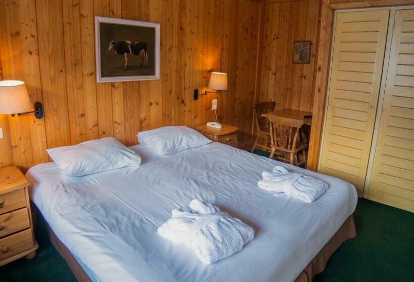 Superior Room with Terrace, Hôtel Arbois Bettex