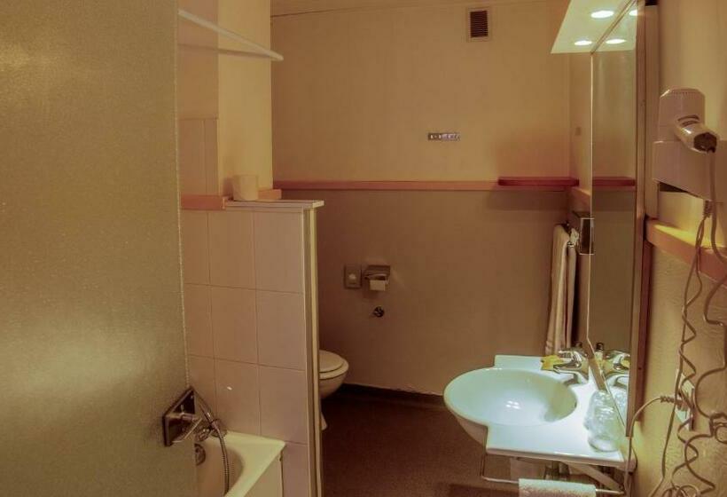 Superior Room with Terrace, Hôtel Arbois Bettex