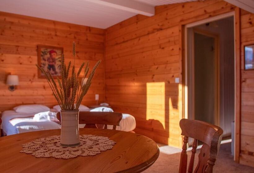 اتاق استاندارد چهار تخته, Hôtel Arbois Bettex
