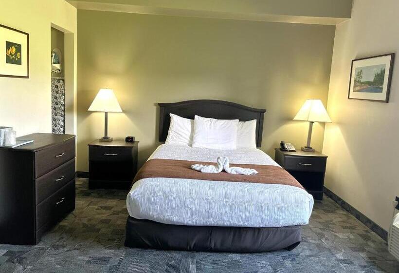 适合残疾人使用的标准间, Midland Inn & Suites