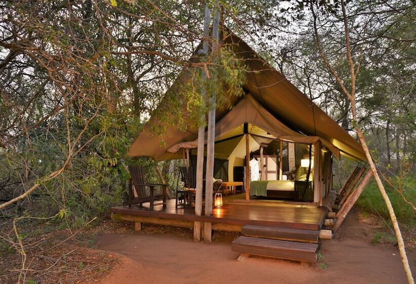 چادر با خدمات رفاهی لوکس, Rhino Walking Safaris
