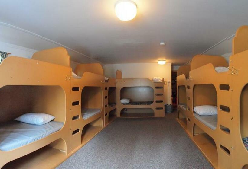 共用房间的床, Hi Castle Mountain Hostel