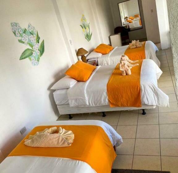 Quarto Triplo Estandar, Miconia
