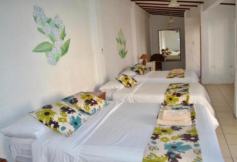 Quarto Triplo Estandar, Miconia