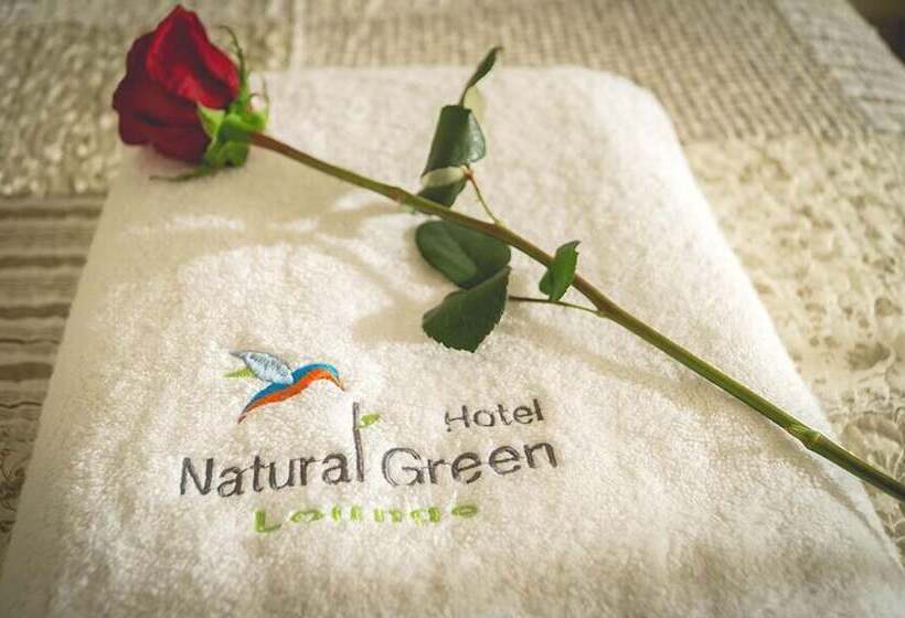 스탠다드 싱글 룸, Natural Green Lounge