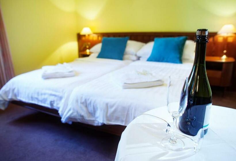 اتاق استاندارد, Retro Hotel Villa Ostrava