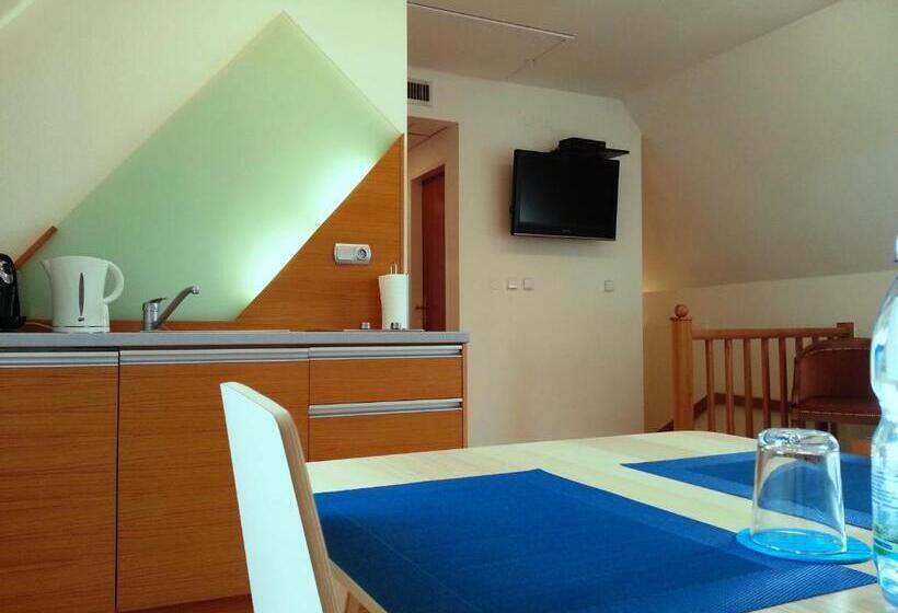 آپارتمان 1 خوابه, Retro Hotel Villa Ostrava