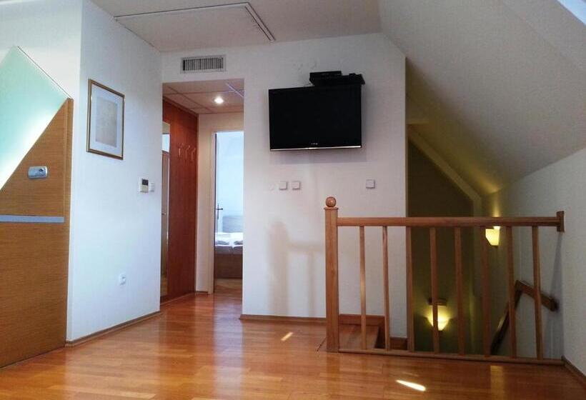 آپارتمان 1 خوابه, Retro Hotel Villa Ostrava