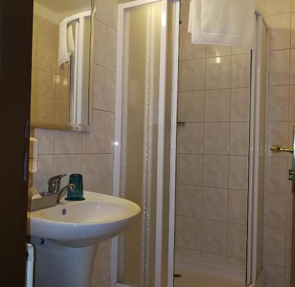 اتاق استاندارد یک نفره, Retro Hotel Villa Ostrava