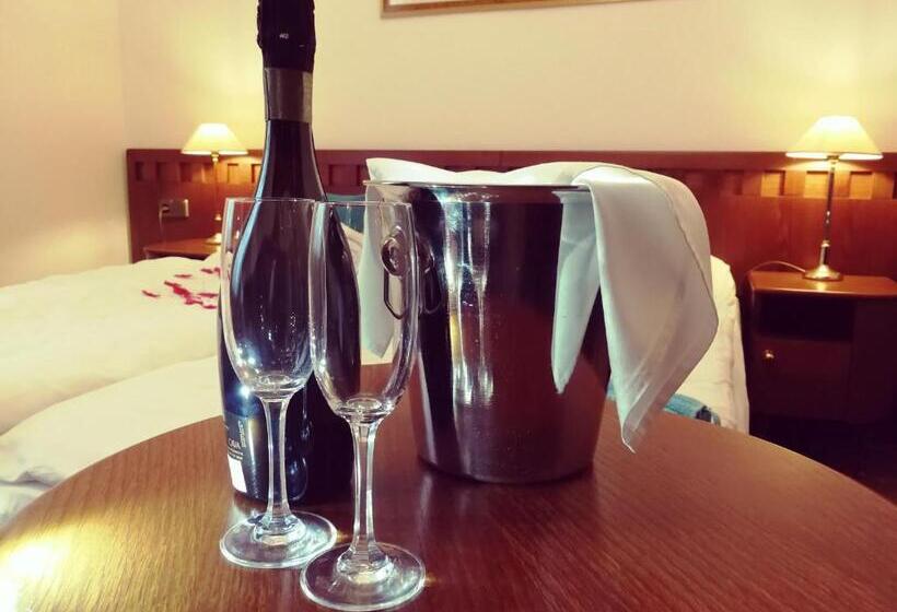 اتاق استاندارد, Retro Hotel Villa Ostrava