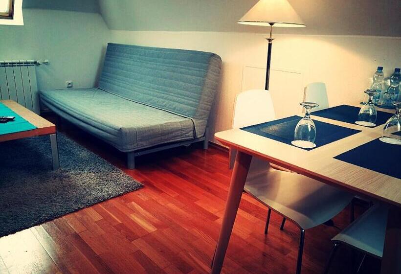آپارتمان 1 خوابه, Retro Hotel Villa Ostrava