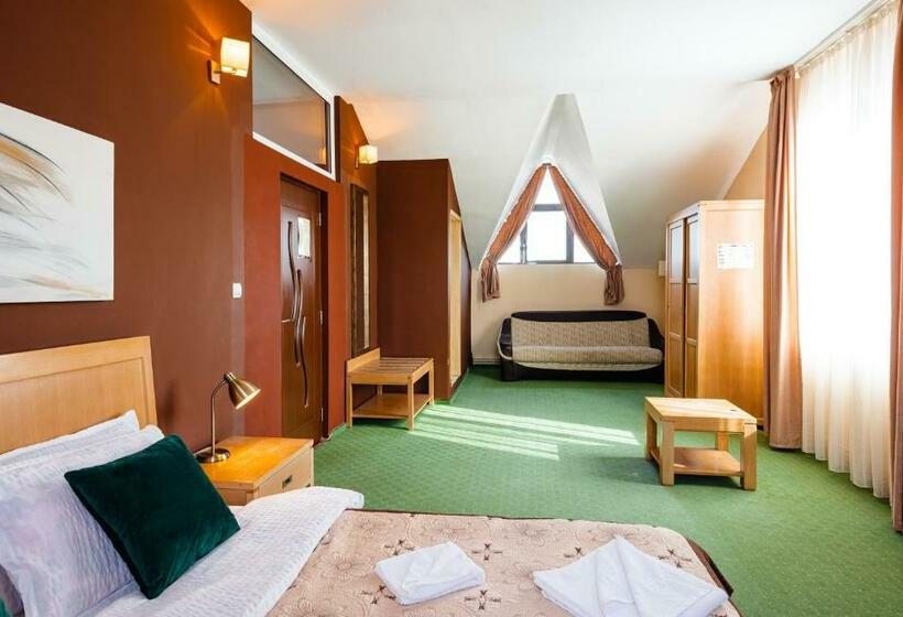 اتاق لوکس, Pensiunea Casa Zanelor