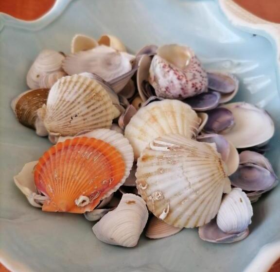 스탠다드 발코니 룸, Tomis Hotel Neptun