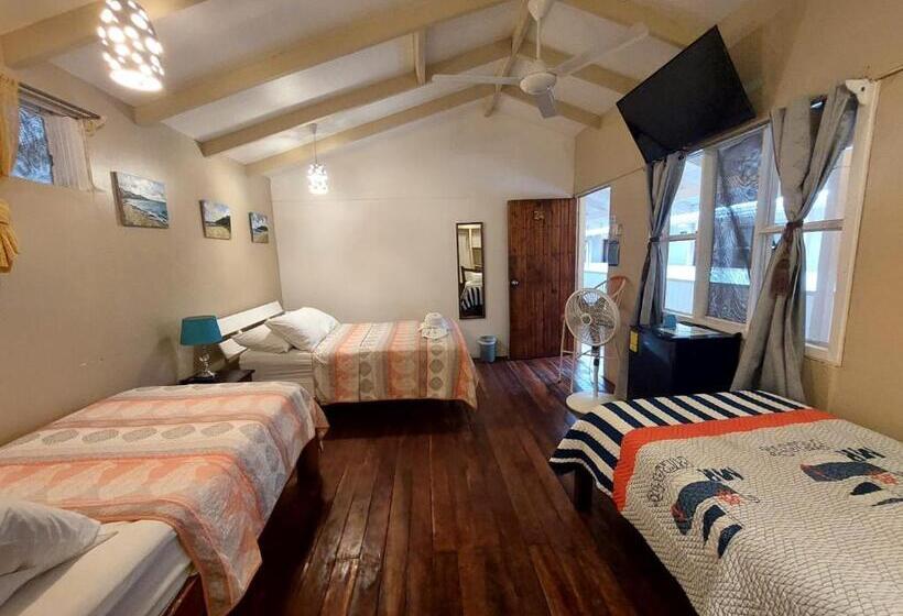 基本三人间, M&m Beach House