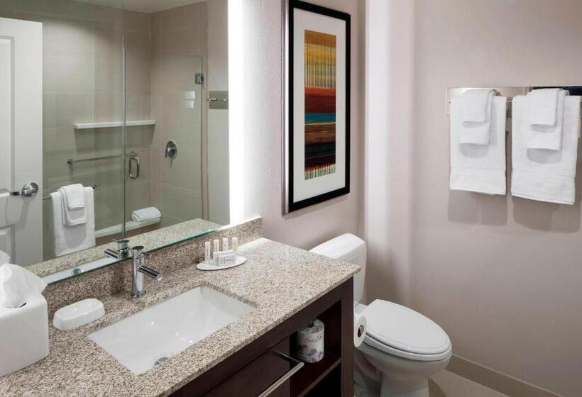 Люкс Кровать Кинг, Residence Inn By Marriott Dallas Plano/richardson