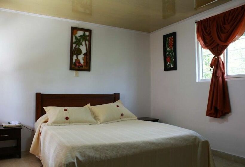 스탠다드 싱글 룸, Eco Hotel Las Palmas
