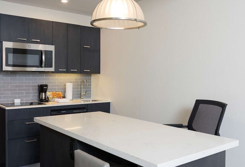 Люкс Адаптированный для Инвалидов, Hyatt House Austin/downtown
