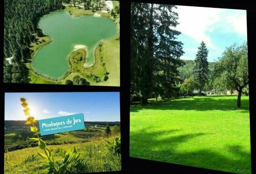 Номер Стандарт, A La Grenouille Du Jura