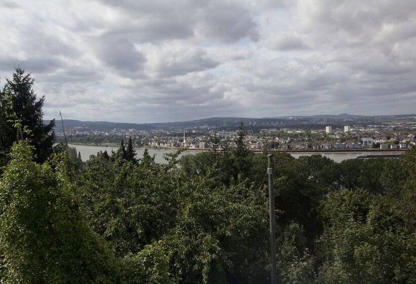 Номер Стандарт, Rheinmoselview