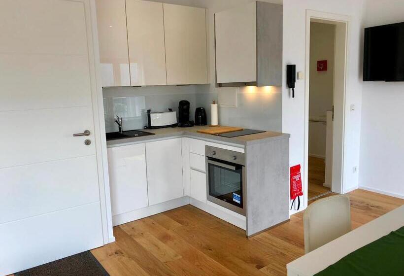 Апартаменты Пентхаус 1 Спальня, Weingut Aparthotel Olinger