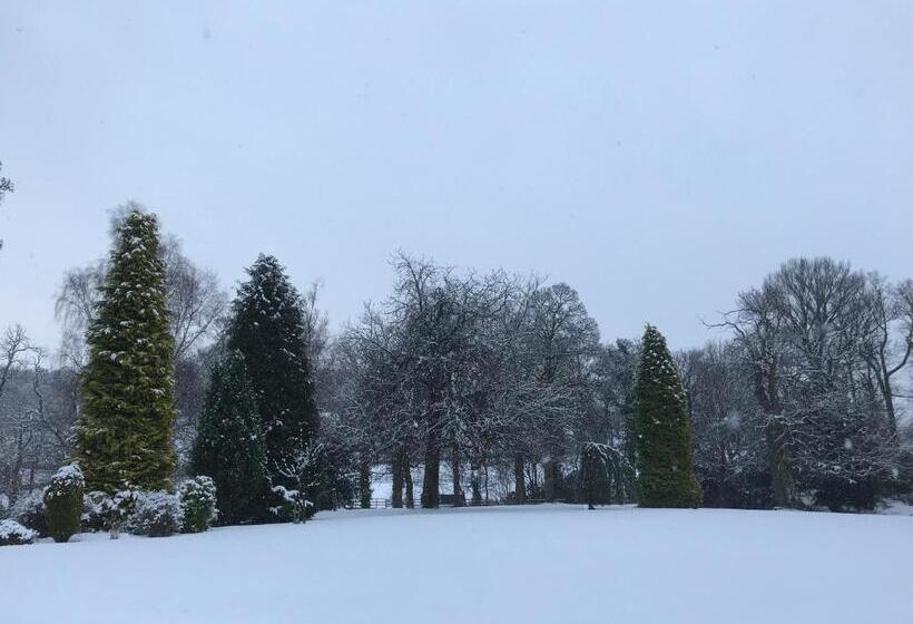 غرفة قياسية سرير كينج, West Plean House